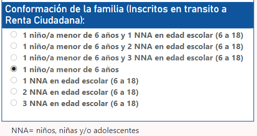 Calculadora Renta Ciudadana: Calcula cuánto puedes recibir en 2023 5 calculadora renta ciudadana familia